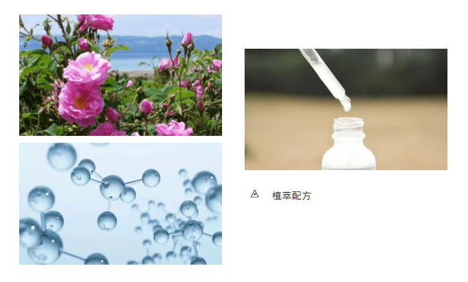 用户|全新升级2 | 日间持续抗氧化,由内而外的呵护,打造透亮日光肌