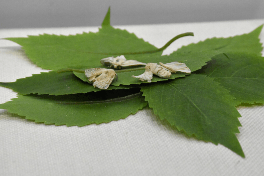 水平|血糖高了就确定是糖尿病了？多吃这1物，轻松改善血糖、稳定血糖！