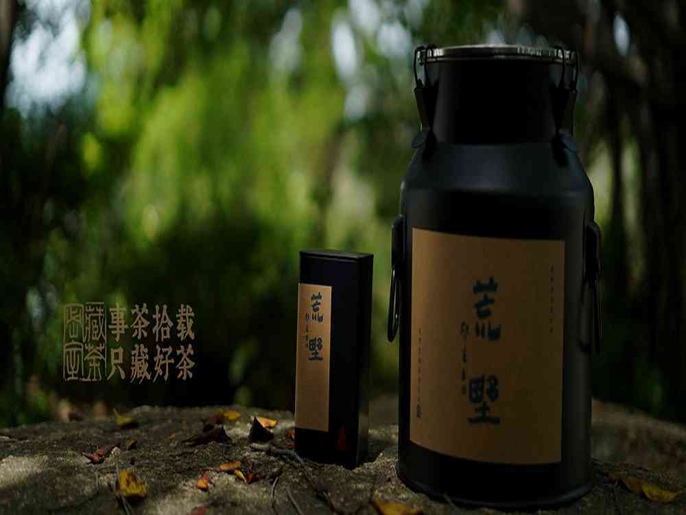 茶叶|嘉木会|十年茶道路漫漫 藏茶密室养蜜韵