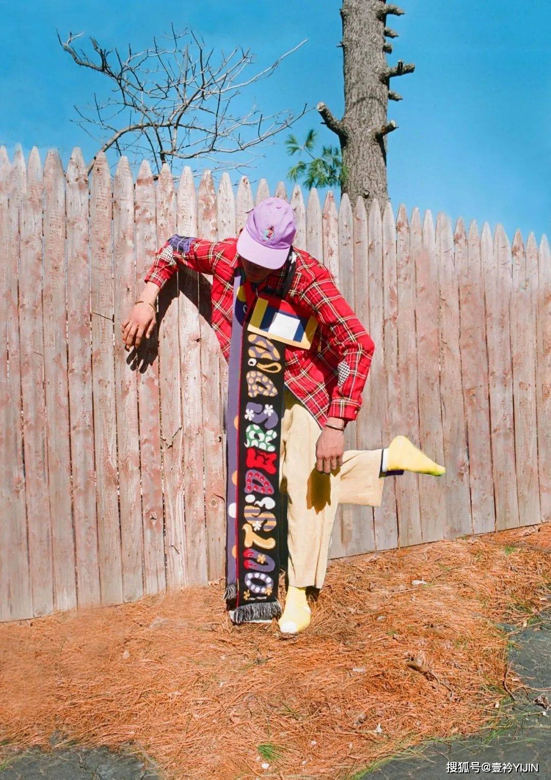 品牌|这年头，连狗都要做个时尚圈的「局外人」