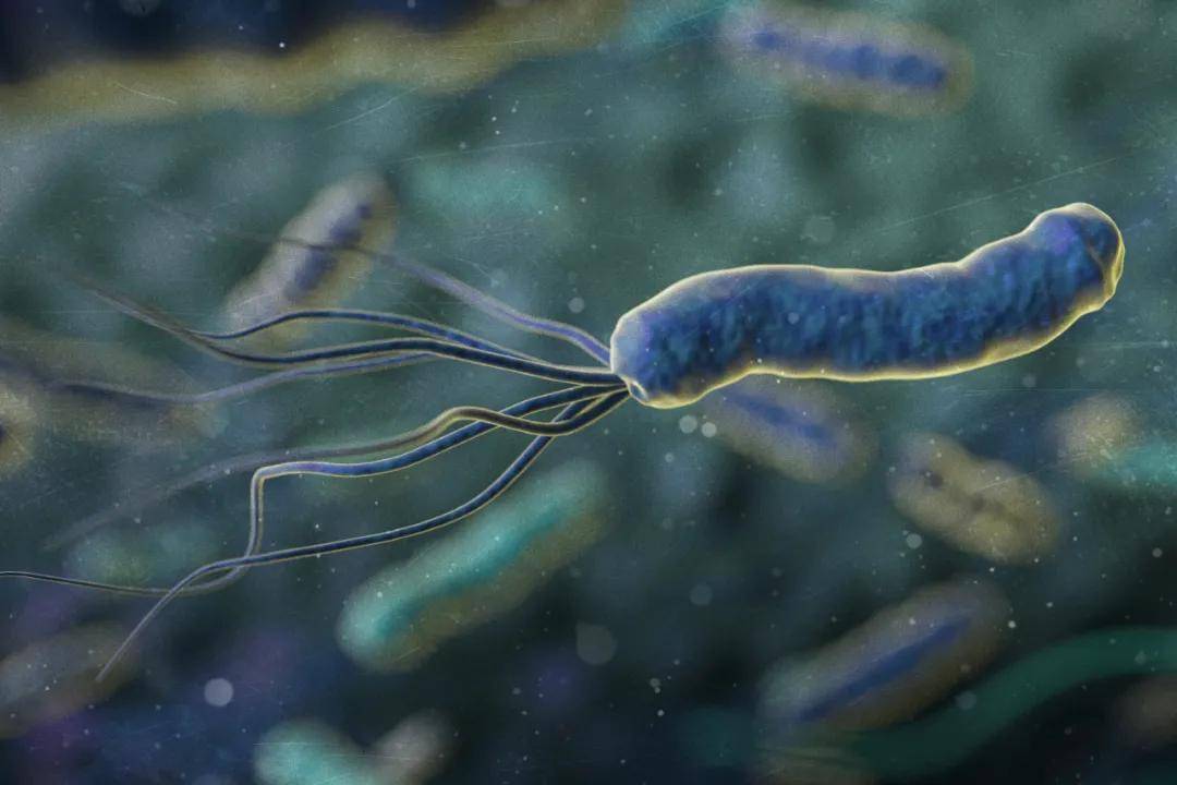 传播|大意不得丨幽门螺旋杆菌的家庭防控