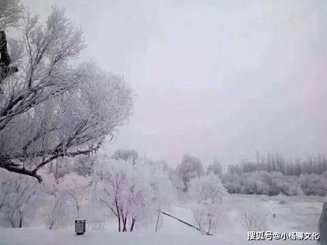 5166aee80abf4c65a26e4d2fcdb635a8.jpeg