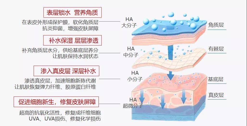 产品|为什么护肤越努力，就越容易「烂脸」？