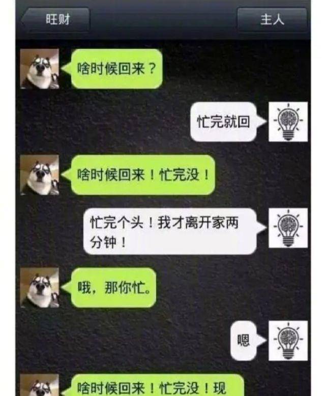 意思|如果哈士奇会发微信会怎样？哈哈不愧是二哈，有被笑到