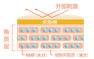 脸部|敬修堂佰花方：为什么手脚的皮肤都很白，脸上却粗糙暗沉呢！