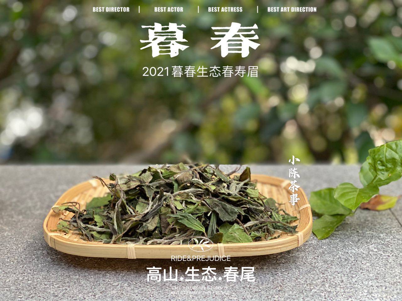 因为|新人买白茶的4大铁律,村姑陈分享多年买茶经验,学会了就是赢家