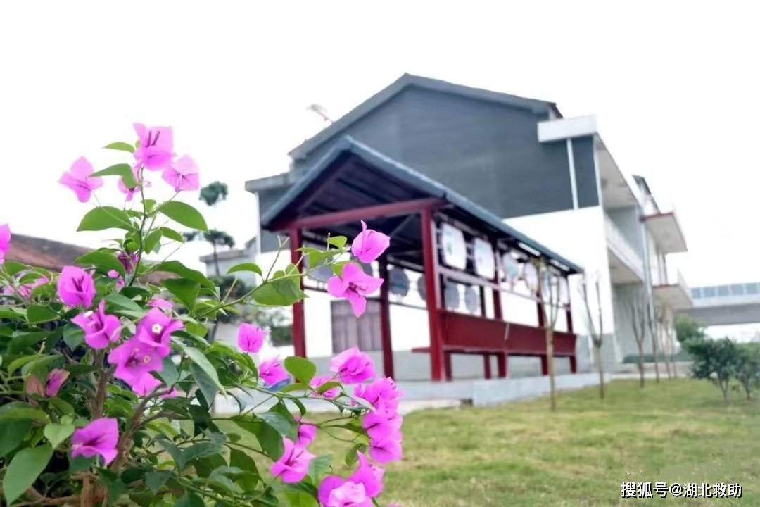 湖北黄梅县孔垄镇王坝村三治融合构建乡村振兴新格局