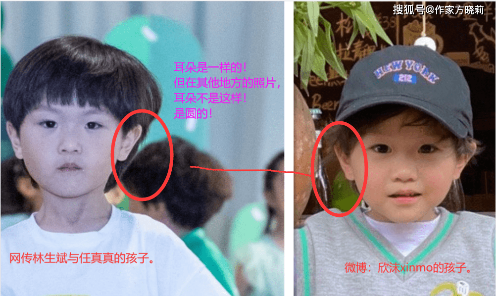 网传分析:青宛因果,林宜盛,林生斌,莫焕晶被老乡爆料因果