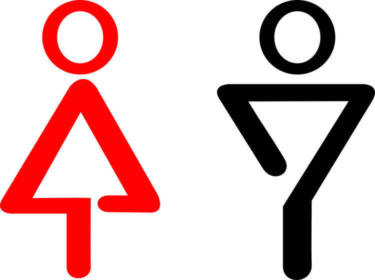 原创在景区上厕所碰到长颈鹿与大象有什么尴尬游客老走错