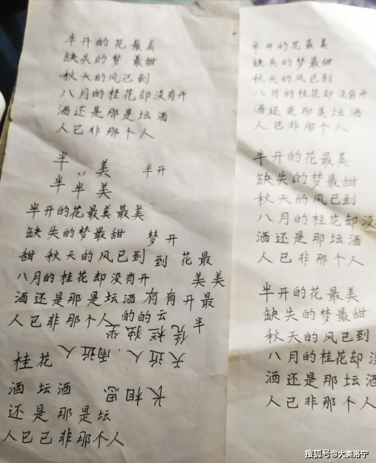 河南洛宁刘爱玲 习字 人生