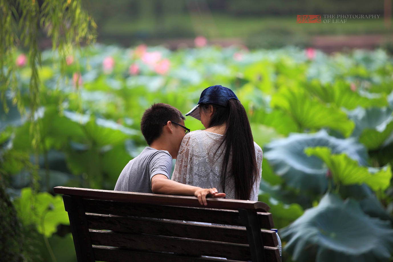 天堂|火炉城市今年成了避暑天堂，夏季温度只有30出头，少有的凉爽天气