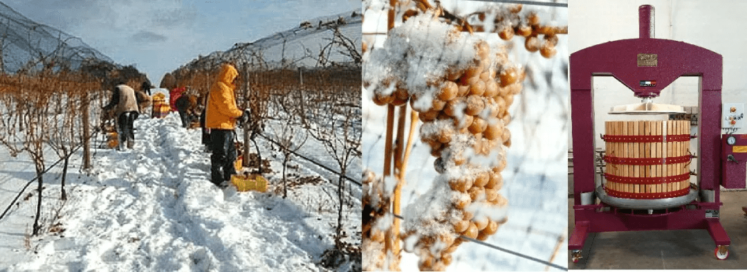 方法|别卡速：格鲁吉亚葡萄酒品酒师课程（十一）