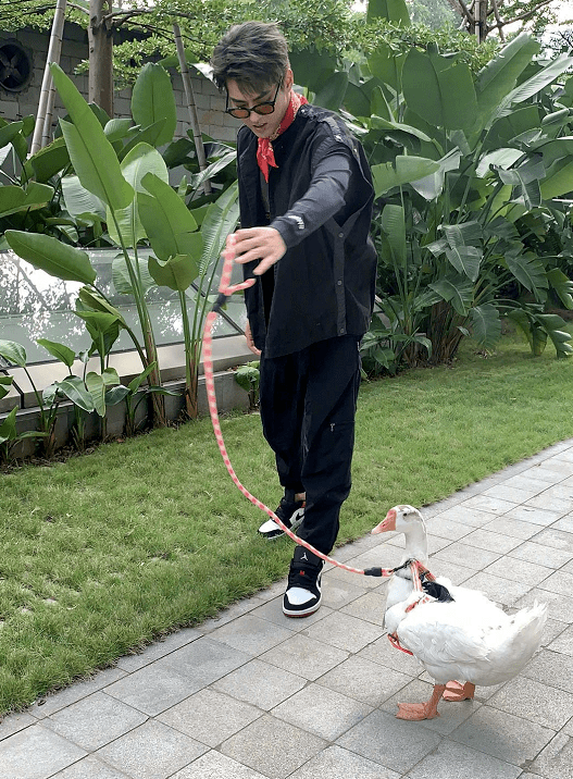 形象|有种“时尚”叫吴亦凡溜鹅，男模打扮帅出新高，一般男星真做不到