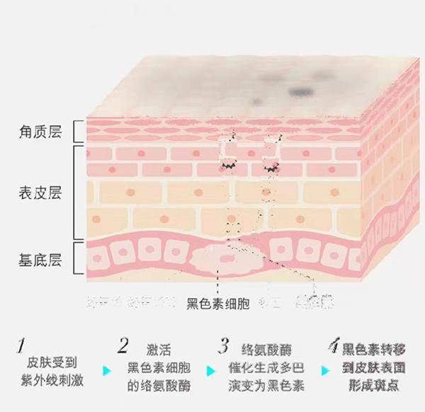 全球|肤白貌美第一步 纷享生活精品好物助力肌肤重焕光泽