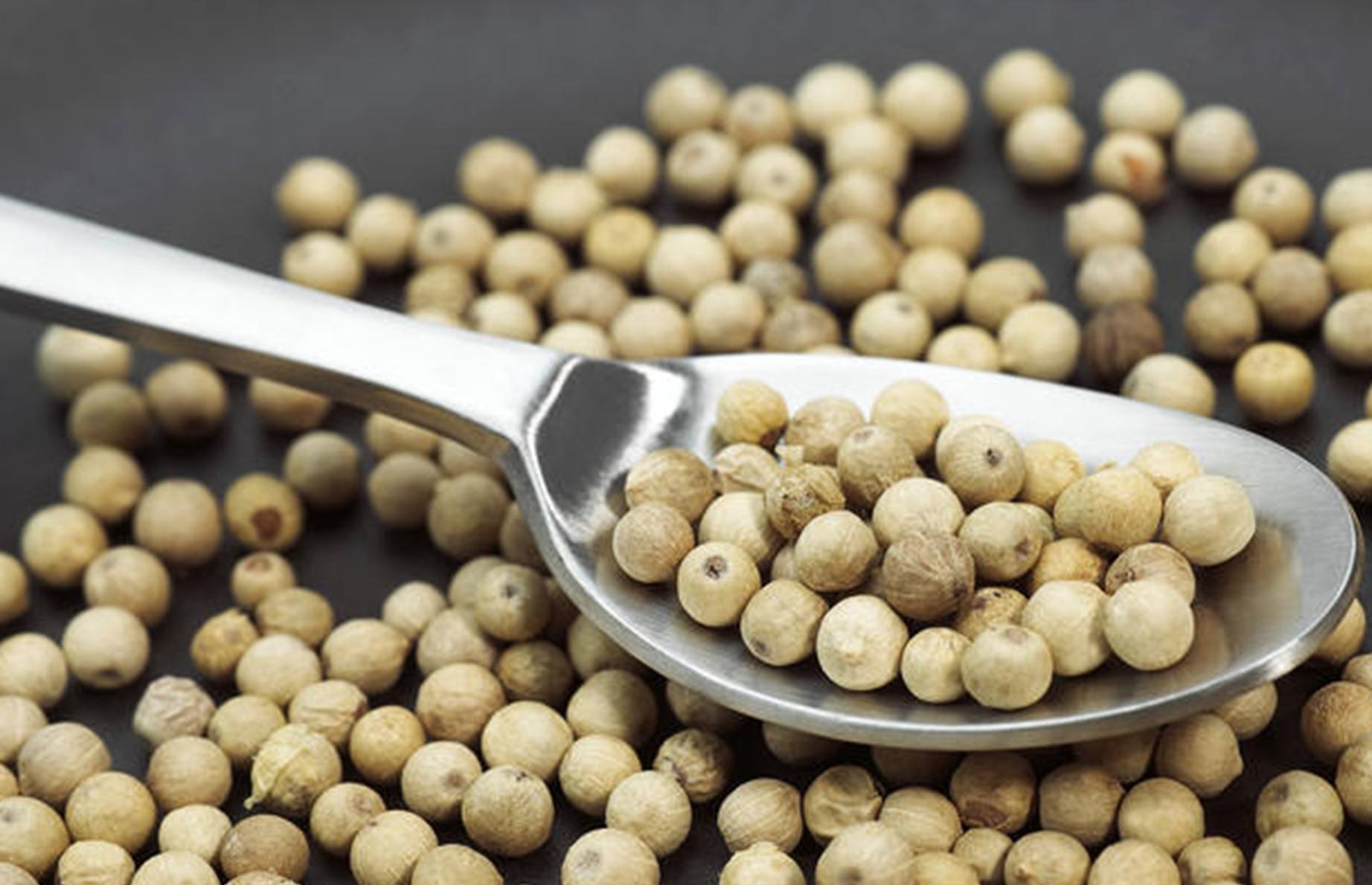 黑胡椒和白胡椒使用区别 千万别再用错了 否则菜肴味道差太多 果实