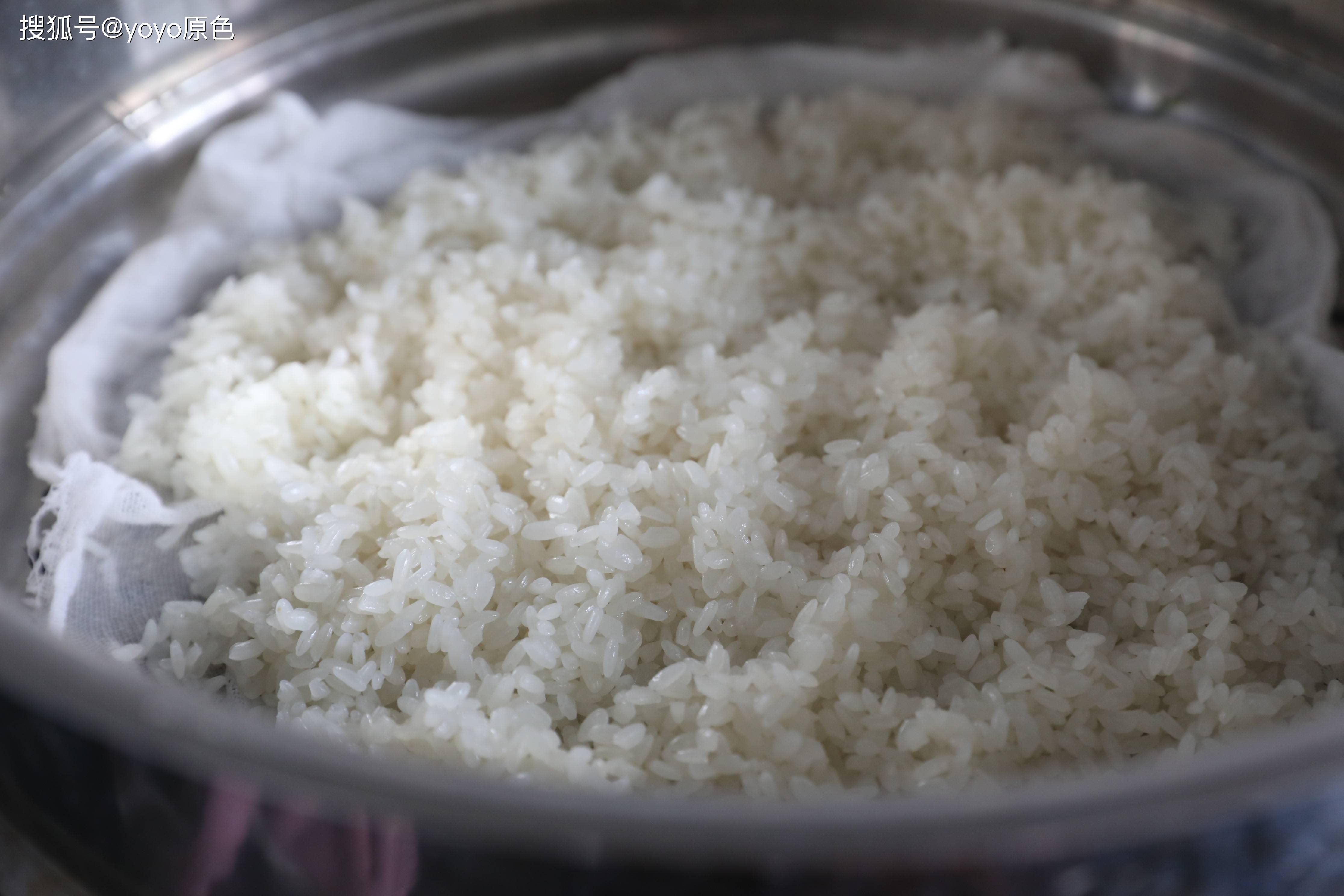 烧麦|早餐不用愁,教你做香菇烧麦,口感喷香,做法简单