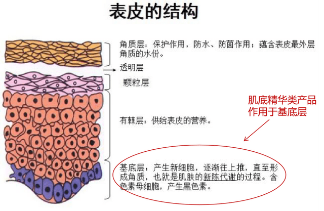 步骤|为什么护肤总没有效果？可能是这些步骤和技巧没学会！