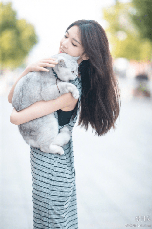 茜茜|迷人又可爱的反派角色:陈瑶、杨蓉、曹茜茜，你PICK谁？