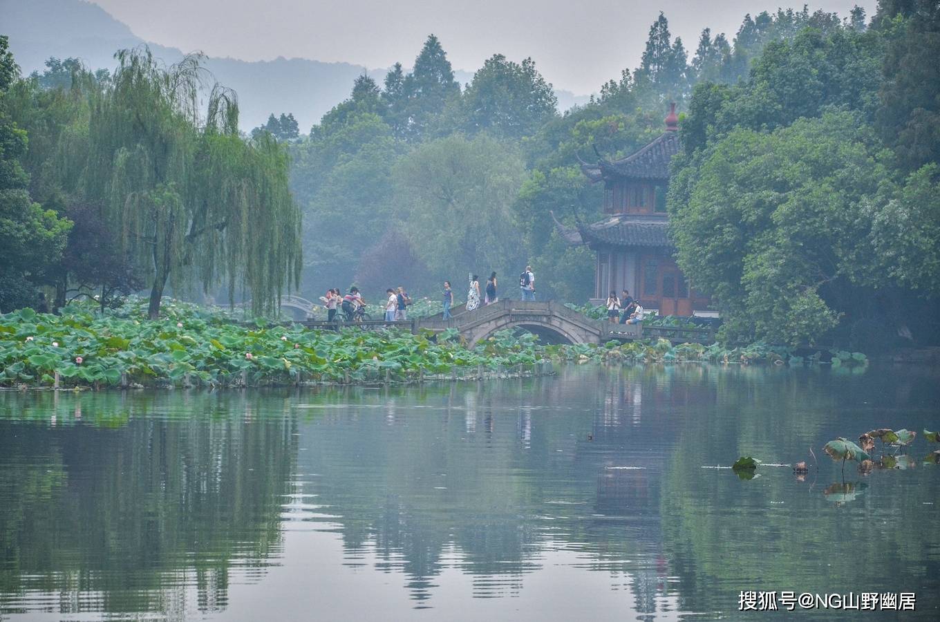 盛夏的曲院风荷：国画中才会有的秘境，已成杭州旅游宣传照！