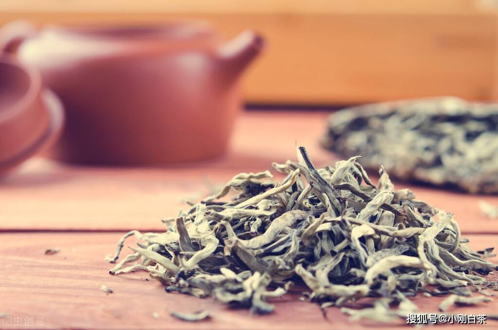 福鼎|福鼎白茶最怕什么？你知道吗？