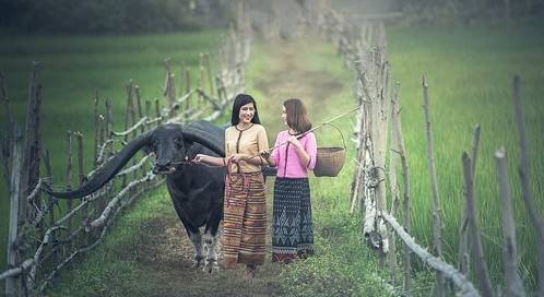 性激素|有人问更年期什么时候是个头？建议大家先掌握这些缓解措施吧