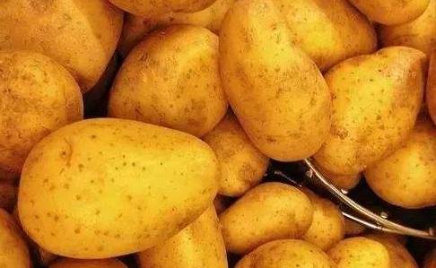 苹果的营养价值和功效100多字 c2950809572e424db6cc9c3a2d7a6acf.jpeg