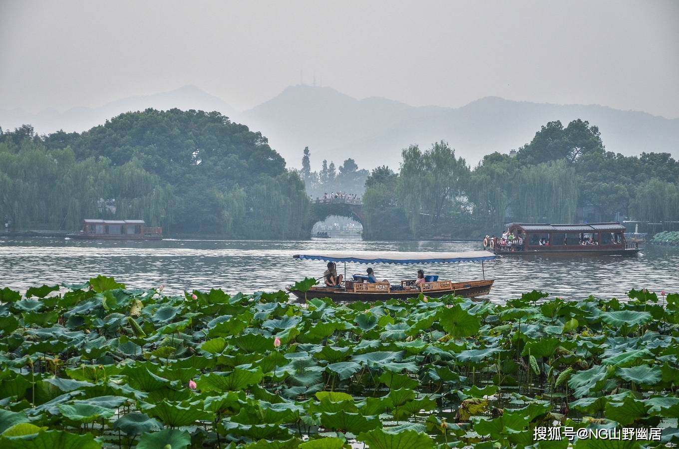 盛夏的曲院风荷：国画中才会有的秘境，已成杭州旅游宣传照！