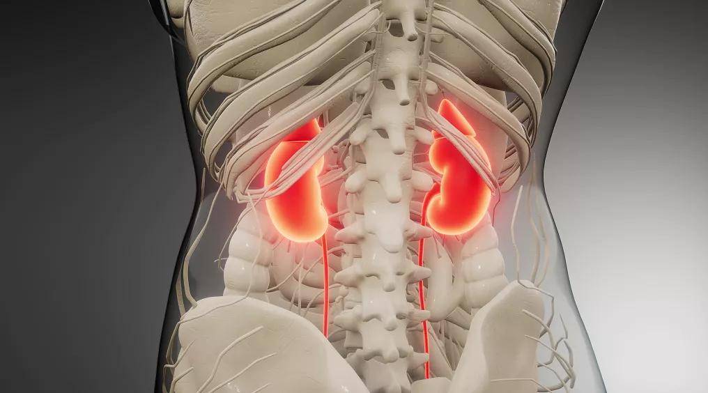 组织|体检查出囊肿，会变成癌么？要切除么？