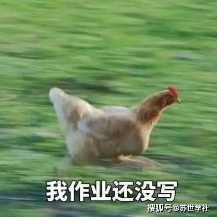 94a7d0ccbd75486ba2615d6ddea8c76a.jpeg