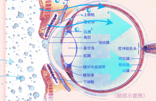 眼睛|眼部保养重在“润”！用它一喷好舒服，细纹慢慢膨了起来