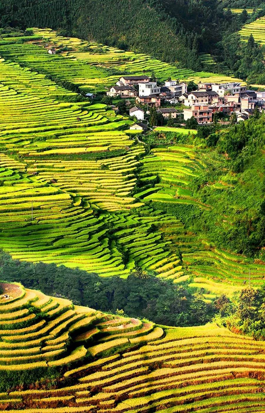 广东最美的梯田,与龙脊梯田齐名,却藏在山区穷县鲜有人知_欧家