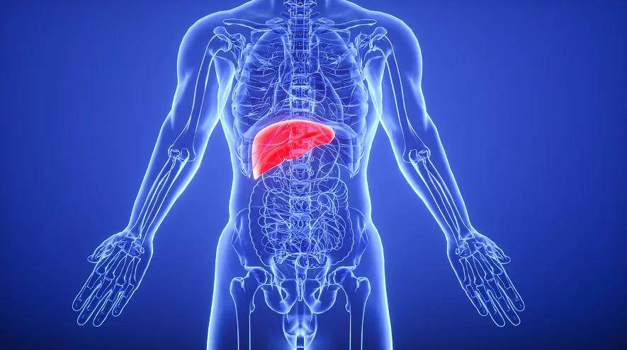 组织|体检查出囊肿，会变成癌么？要切除么？