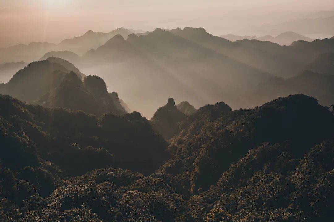 楼台|武当山下觅琴音