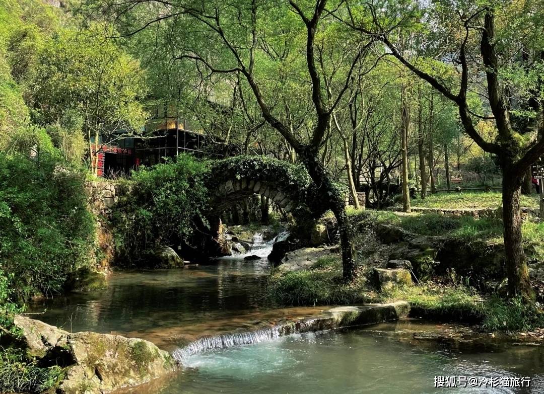 水竹湾为省级森林公园,森林覆盖率达95.