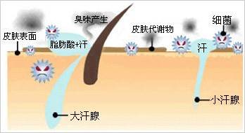 化妆品|知医堂思兰朵祛斑：内调外养，让斑无处可逃