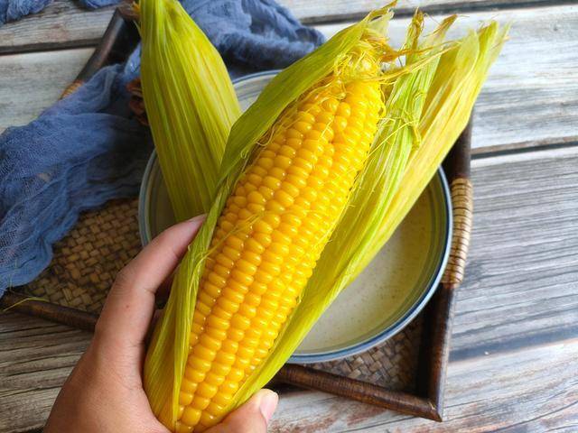 哪里有口感好的玉米 159e83ef8d4e4144bd42b15109c8949a.jpeg