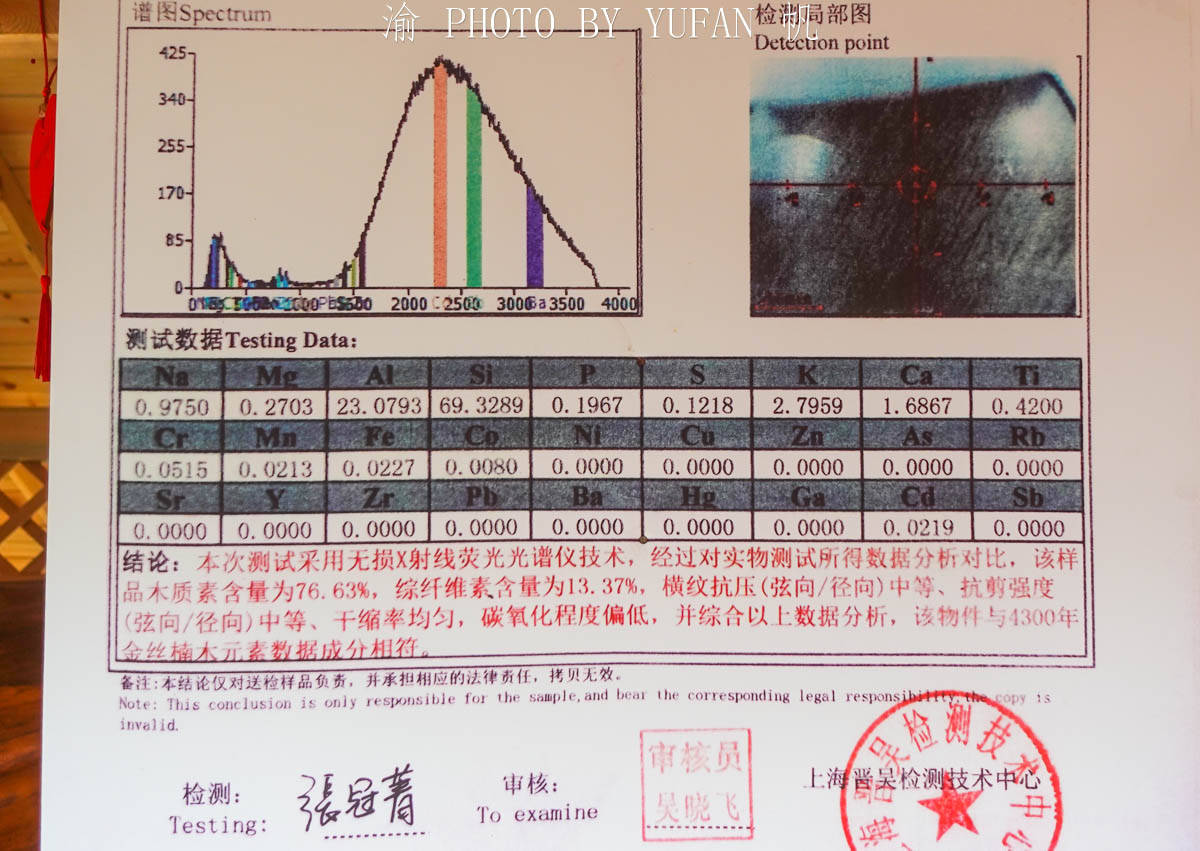 无价之宝|贵州深山发现4300年金丝楠木，惜遭雷击渡劫失败，如今成无价之宝