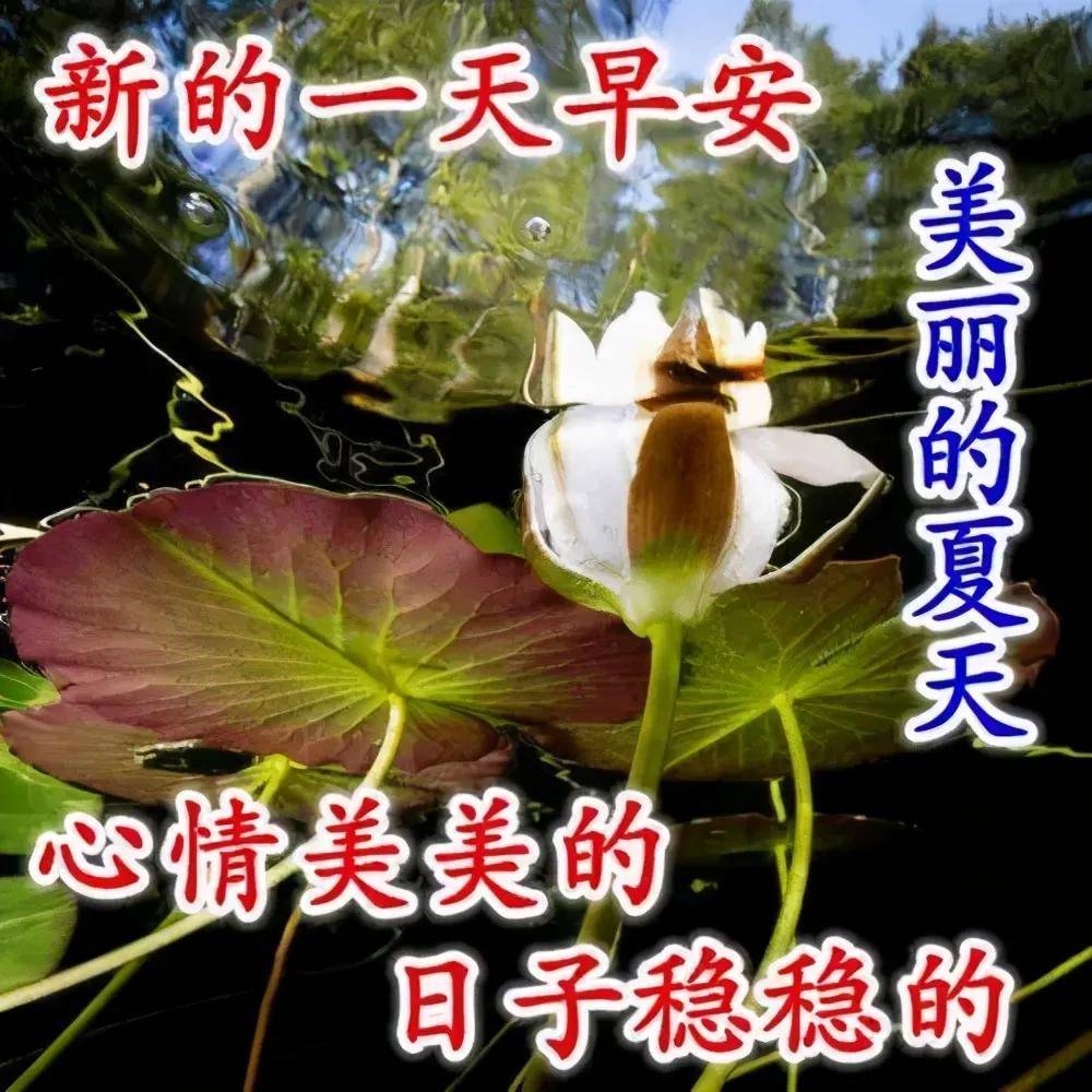 2021七夕早上好动态表情图片大全,七夕动图美图大全