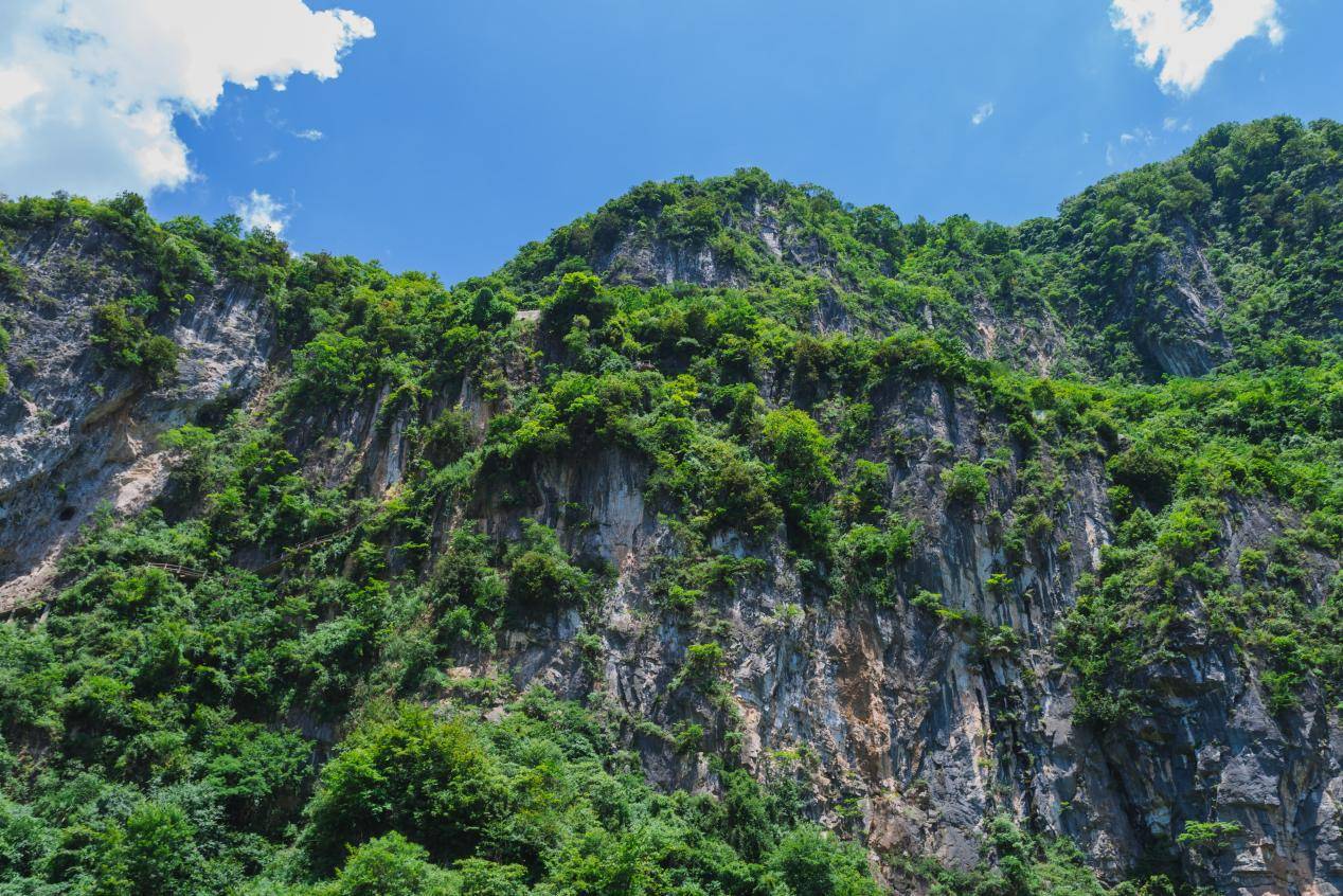 悬崖|避暑九皇山，玩的就是心跳