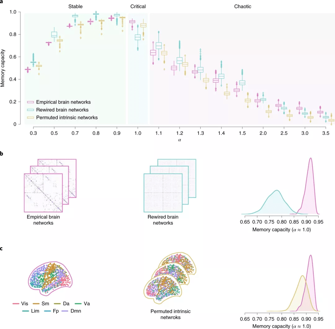 有认知记忆功能 以真实大脑为模型的人工神经网络,构建更好的ai