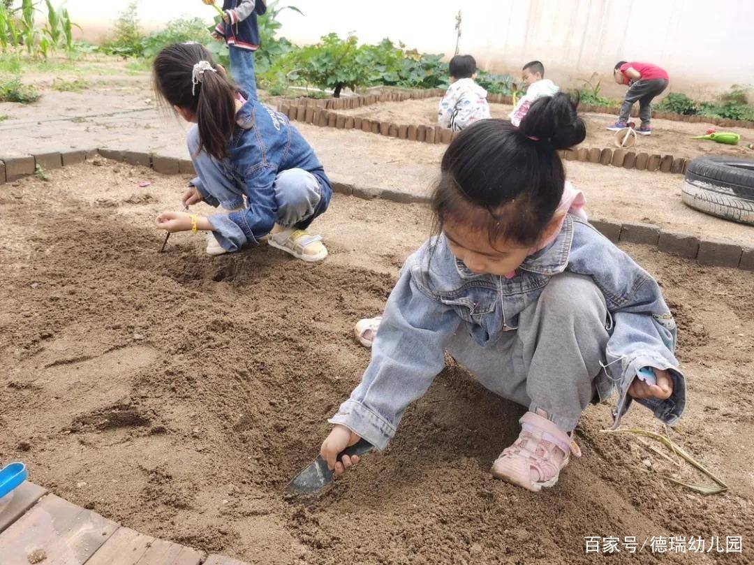 孙瑞雪|德瑞家长的心里话：我为什么愿意为这个幼儿园发声！