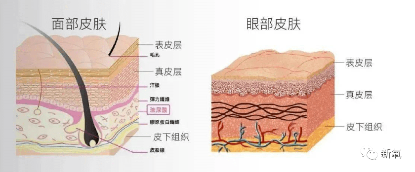 眼睛|范冰冰罕见生图曝光，这个镜头距离也只有颜霸能hold住了…