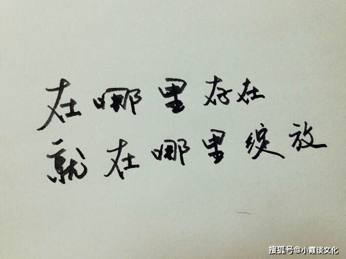 3e937719afb34c06953a8dd42cae4285.png