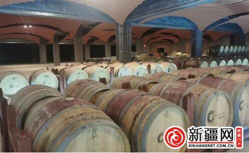 企业|新疆焉耆10万亩有机葡萄进入采摘季 葡萄酒企业蓄势待储