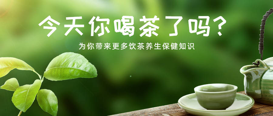 人体|满披白毫，胜似白雪，故名白茶