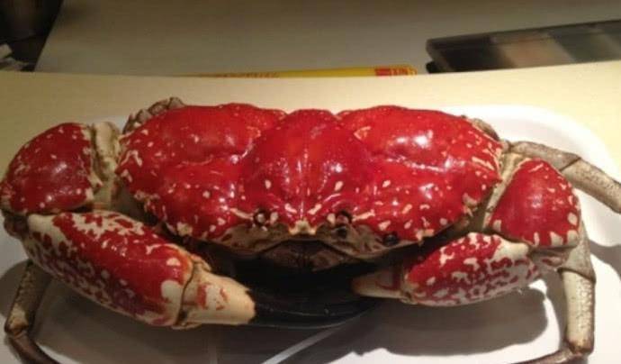 来澳洲必须吃的美食，尤其是螃蟹腿！网友：给我来十只