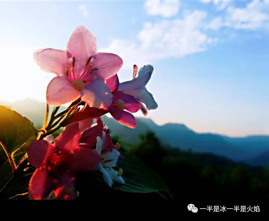 七夕 在有限的光阴里成就自己的热爱歌词 晴格歌词网