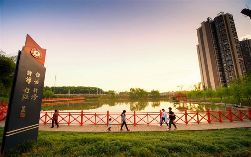 成都大学专业排名_成都大学(3)