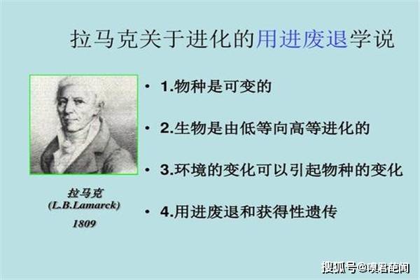 6925c7422da34a0db74586ff2ea628b8.jpeg