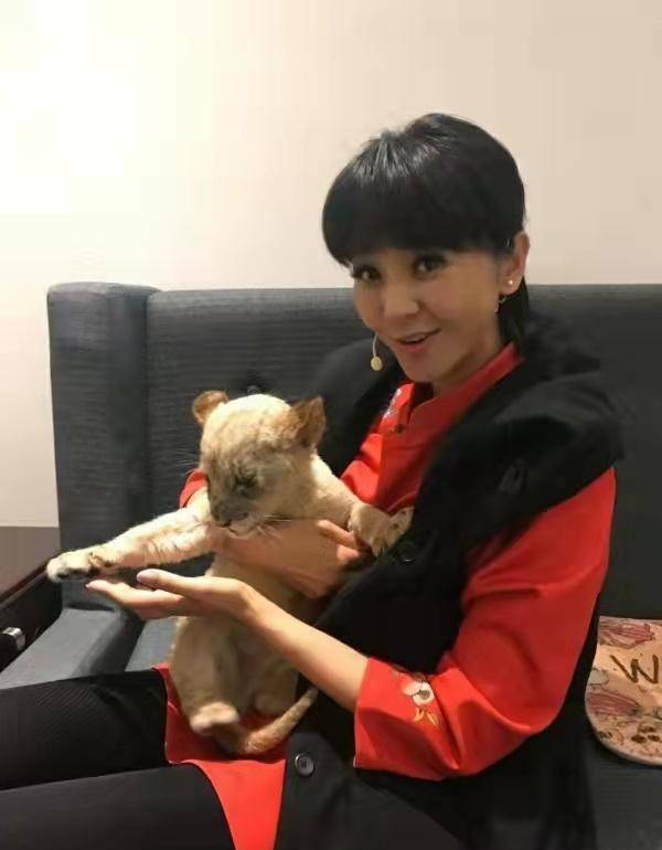 黑色|央视主持方琼滞留河北!穿上万块棉服街头当志愿者,演绎别样时尚